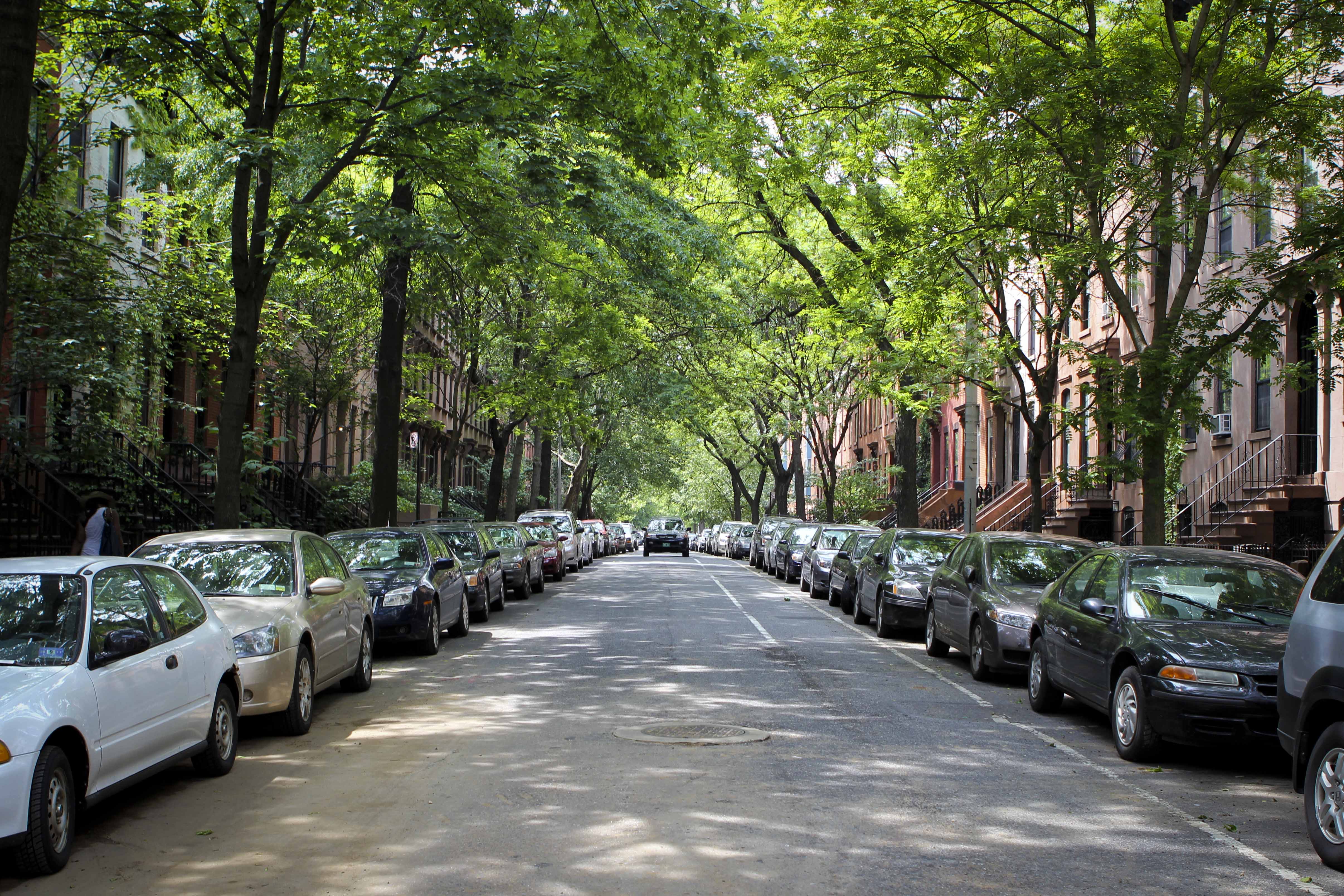 Street trees. Улица Урбан. Улица с деревьями. Зеленые насаждения. Улица деревья город.